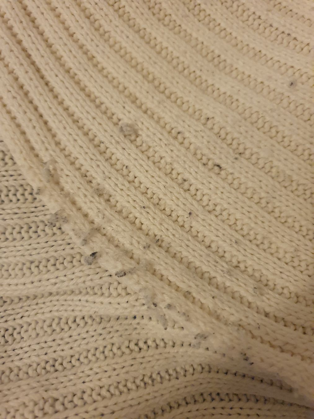 Giacche: Strickjacke Chicorée Gr. L Creme Sommerliche Strickjacke – Nuovo (secondo la descrizione) da St.Gallen venduto da Avena135 3