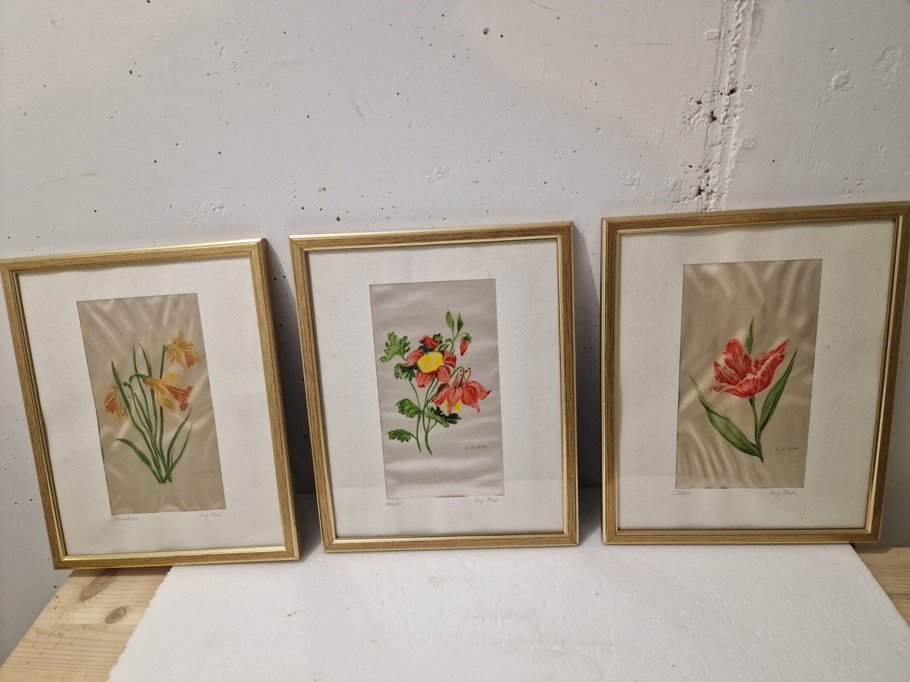 Foto & Immagini: 3er Set gerahmte Blumenbilder, Kunstdrucke, Top Zustand – Usato da Wettingen venduto da maren2
