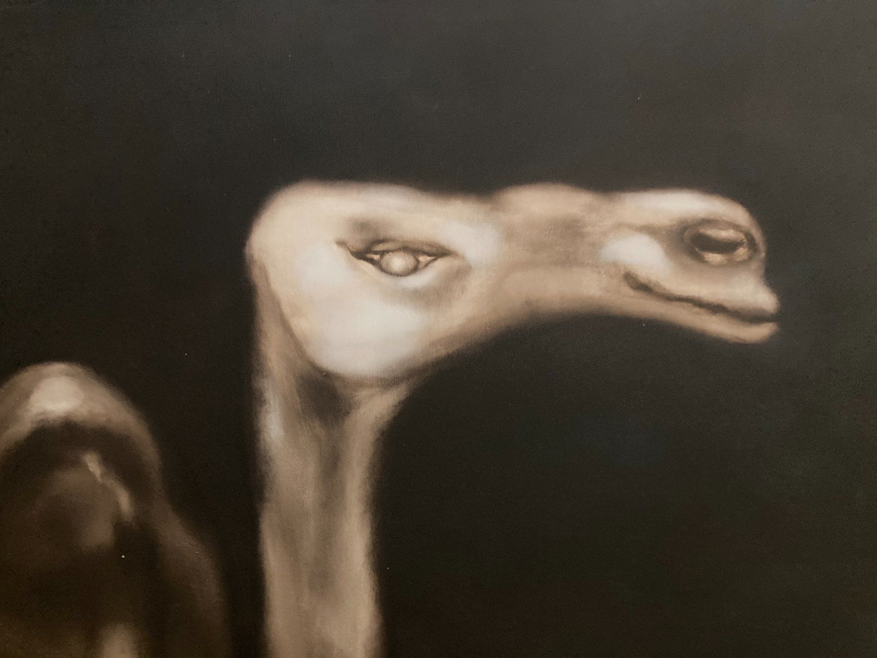 Dipinti: Spektakuläres Gemälde "Kamel" 190x150cm, Von Houssam Bokeili – Usato da Ins venduto da marbodan 2