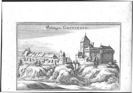 Grüningen Kupferstich von Merian