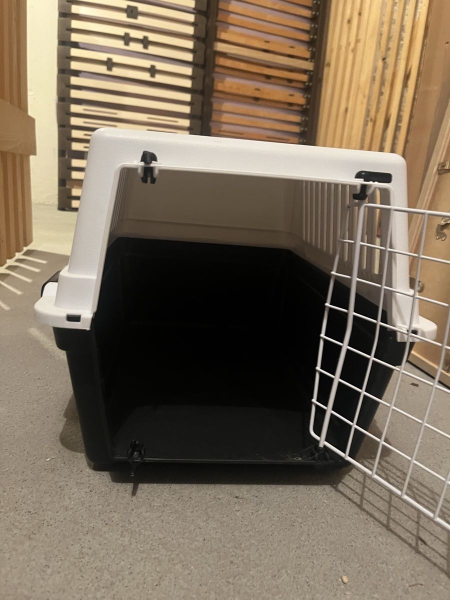 Gabbie, trasporto & Sicurezza: Transportbox – Usato da Gattikon venduto da Joy. 2
