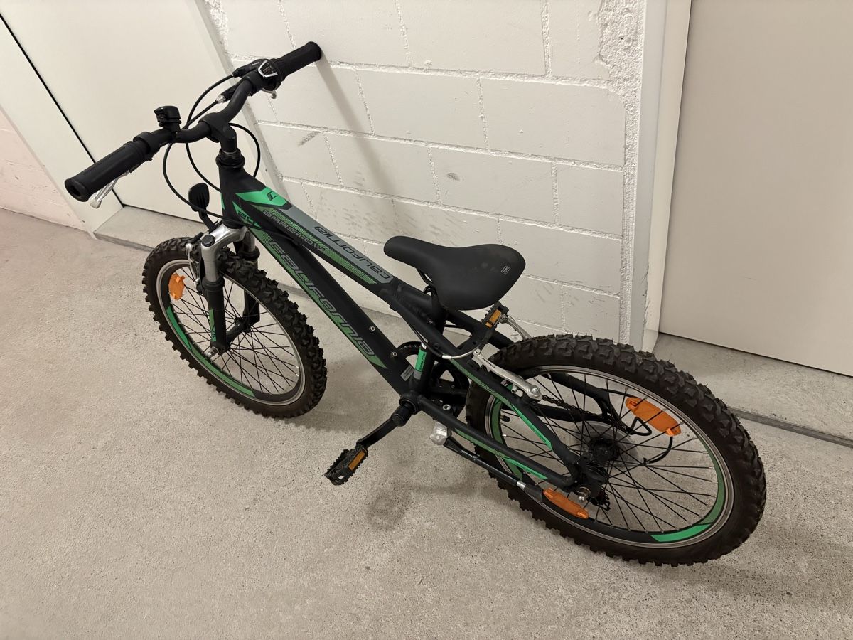 Leopard Biciclette: Kinder Velo Leopard 20 Zoll – Usato da Möhlin venduto da Nilo9013