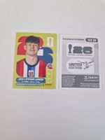 Panini Sticker NOR18