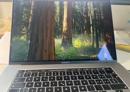 Mac Book Pro 16" / neuer Akku verbaut / mit Rückgaberecht