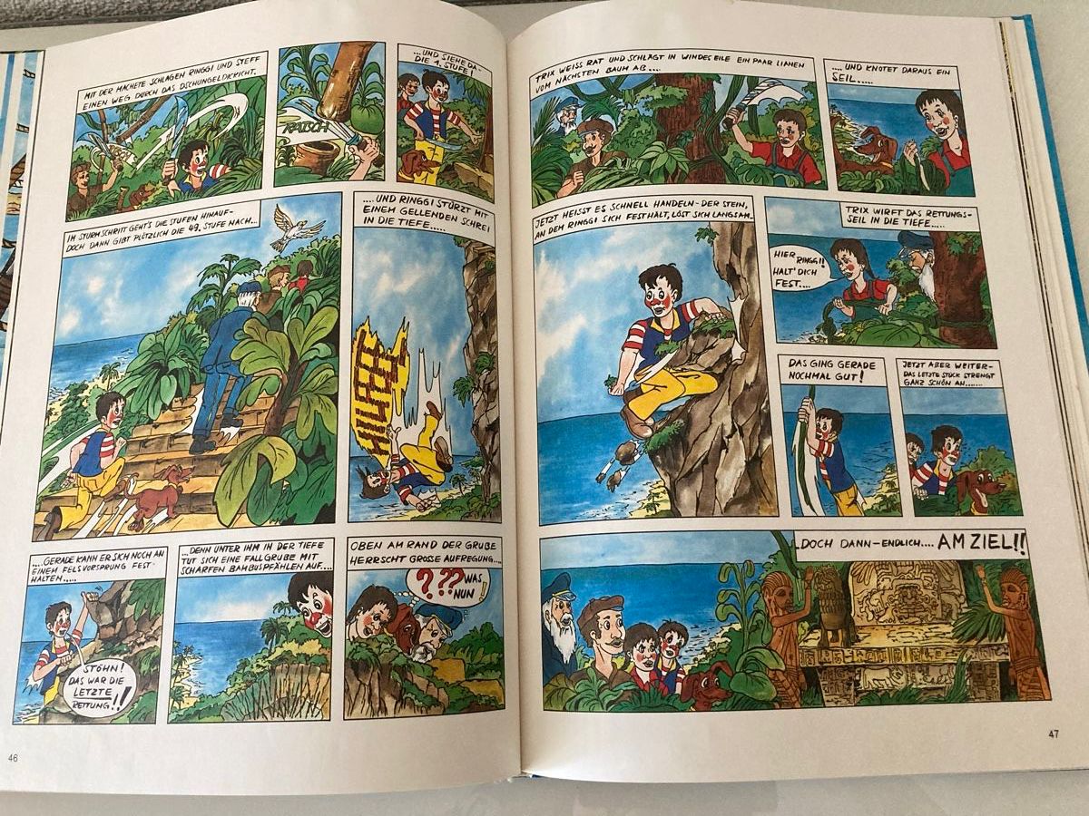 Libri: Ringgi u Zofi auf hoher See, Kinderbuch – Nuovo (secondo la descrizione) da Rotkreuz venduto da RoseAss 3