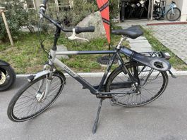 Gazelle Velo