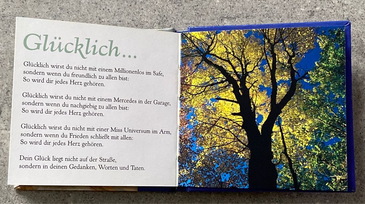 Libri: Kopf hoch! Büchlein – Usato da Niederbüren venduto da funkel06 1
