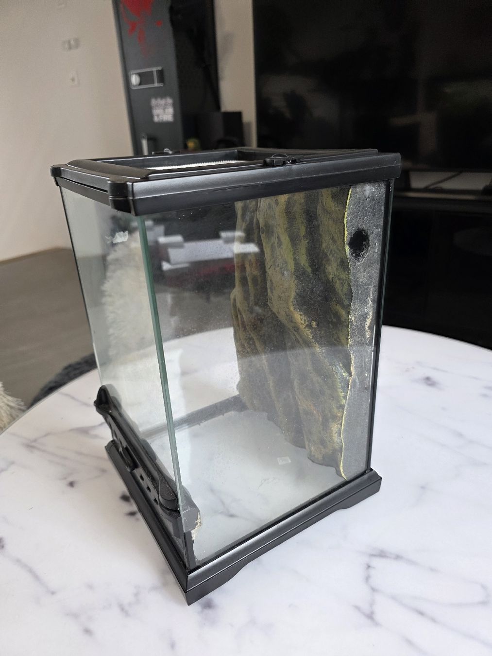 Exo terra Terrario: Exoterra Terrarium – Usato da Oberwil (Dägerlen) venduto da sid_b5l6 2