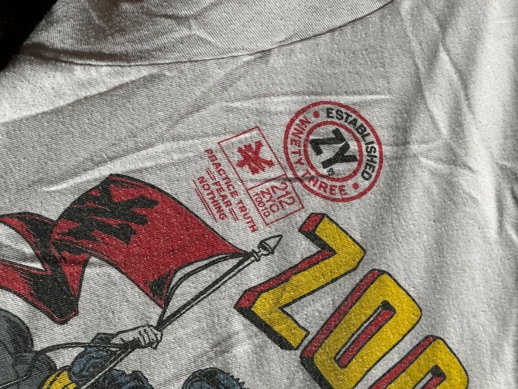 T-shirt: T-shirt Zoo York – Usato da Châtelaine venduto da 333shop 3