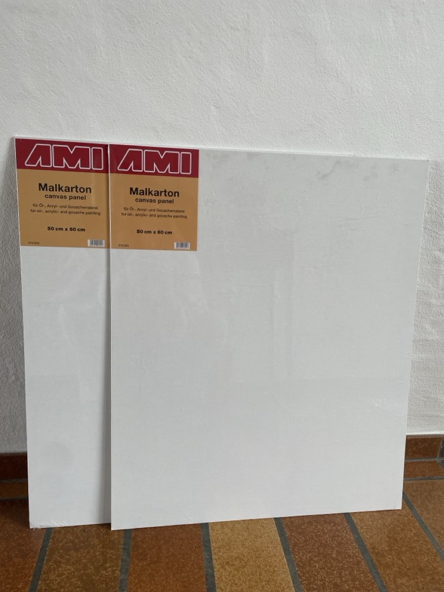 Dipinti: Malkarton 50 x 60 2 Stck – Nuovo e nell'imballaggio originale da Freidorf TG venduto da ibipatria