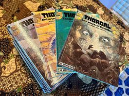 Thorgal - Vol. 11 à 32 + 34, soit 23 albums