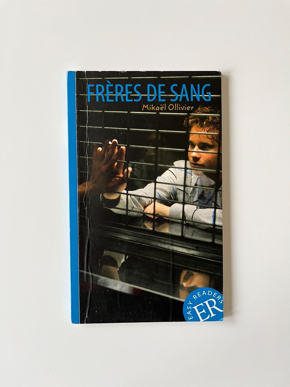 Libri: Berufsmatura Buch "Frères de sang" – Usato da Lachen SZ venduto da portbrin