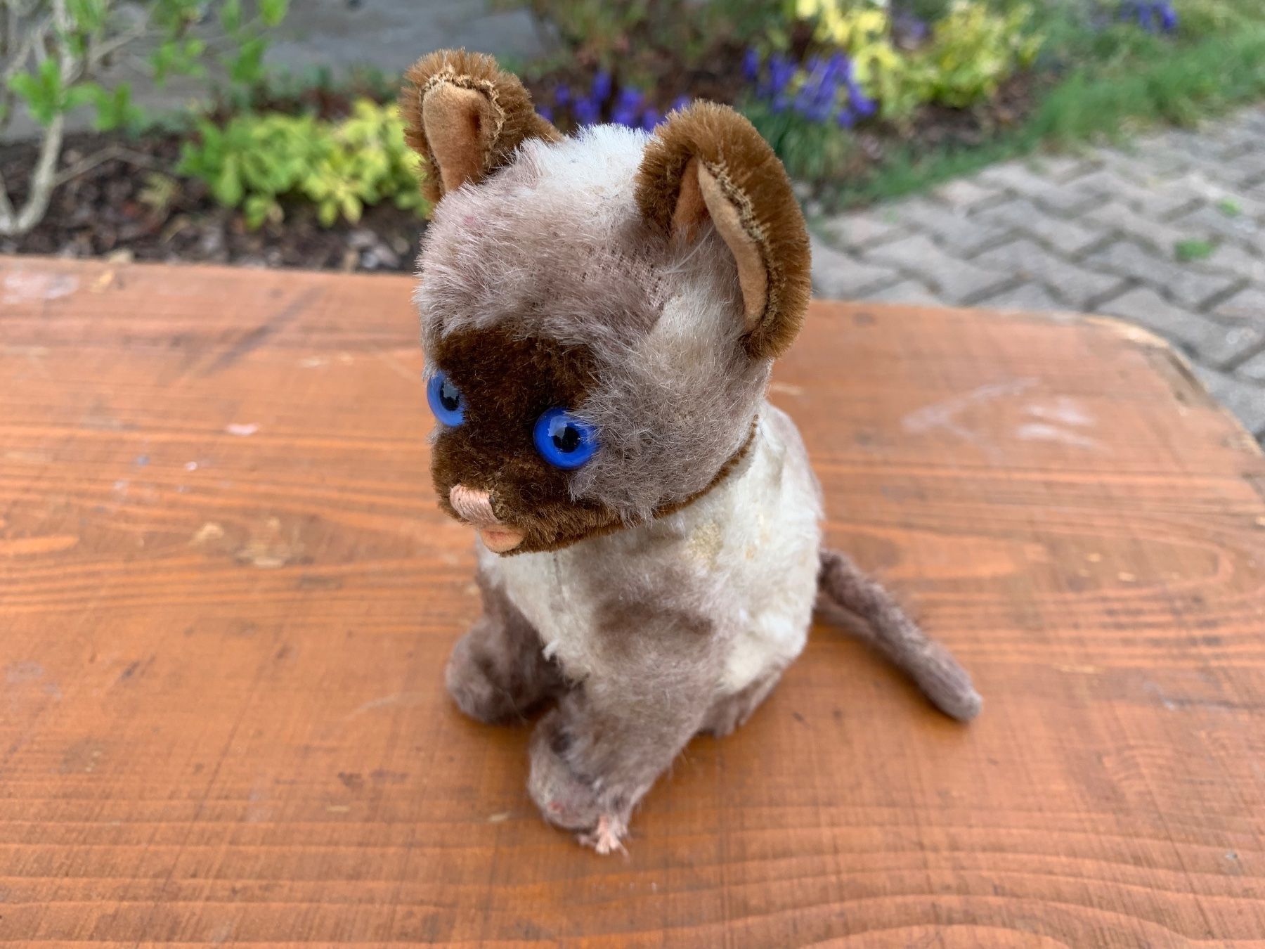 Steiff Giocattoli: seltene Steiff Siamy Siamesen Katze – Usato da Feldbach venduto da Olive1 3
