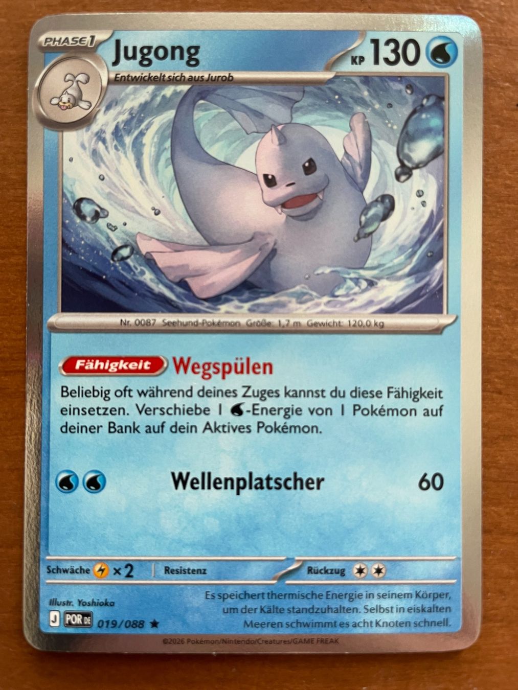 Pokémon Carte collezionabili: Pokemon Jugong Holo (Versand gratis) – Nuovo (secondo la descrizione) da Chur venduto da Angerson