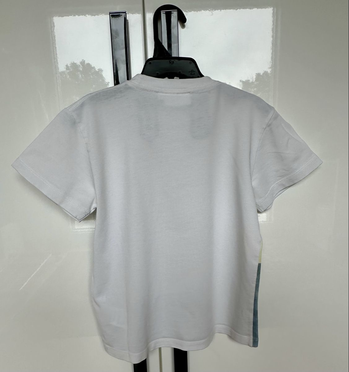 Molo Camicie, T-shirt & Polo: T-shirt in cotone MOLO – Usato da Castel San Pietro venduto da Moregi 1