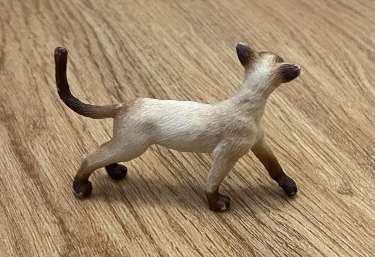 Schleich Spielzeuge: Schleich Katze  – Gebraucht aus Flawil von Vera44 1