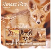 Block "Fennek". Liberia