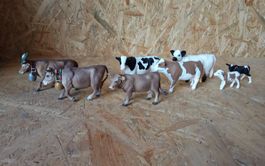 Alpabzug Schleich Tiere und Bully Land