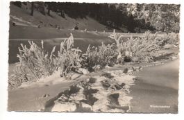 PONTRESINA Winterzauber