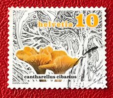 Nr.1503 Dauermarken Pilze GESTEMPELT 2014   ﻿ 