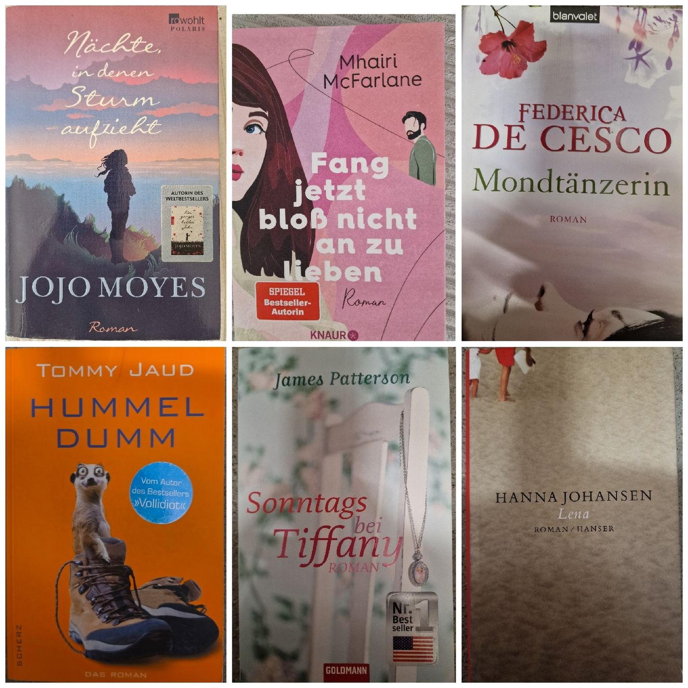 Bücher: Diverse Romane von verschiedenen Autoren – Gebraucht aus Bern von Monaluna