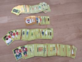 Panini Sticker WM 2026 