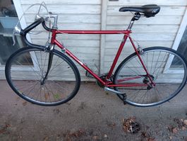 Velo ALLEGRO