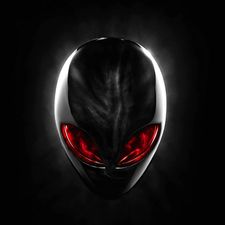 Profile image of WayneRandom