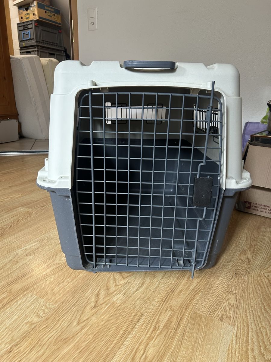 Gabbie, trasporto & Sicurezza: Praktische Hunde Transportbox  – Usato da Gattikon venduto da salomefrehner