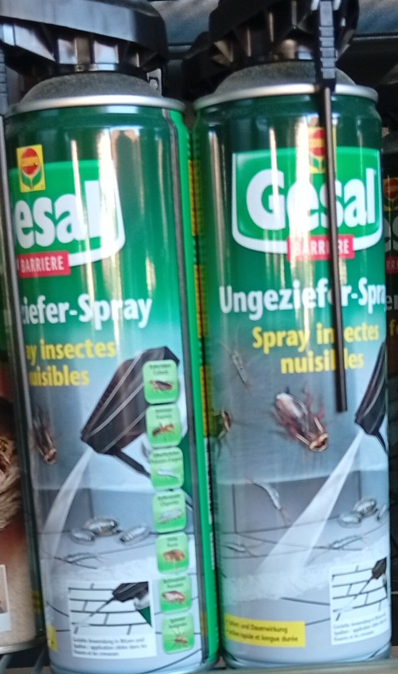 Altro per la casa: Gesal Ungezieferspray – Nuovo (secondo la descrizione) da Oberbipp venduto da bie_jz2n