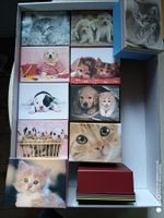 Schachtel Karton Katze Baby Dogs Welpe