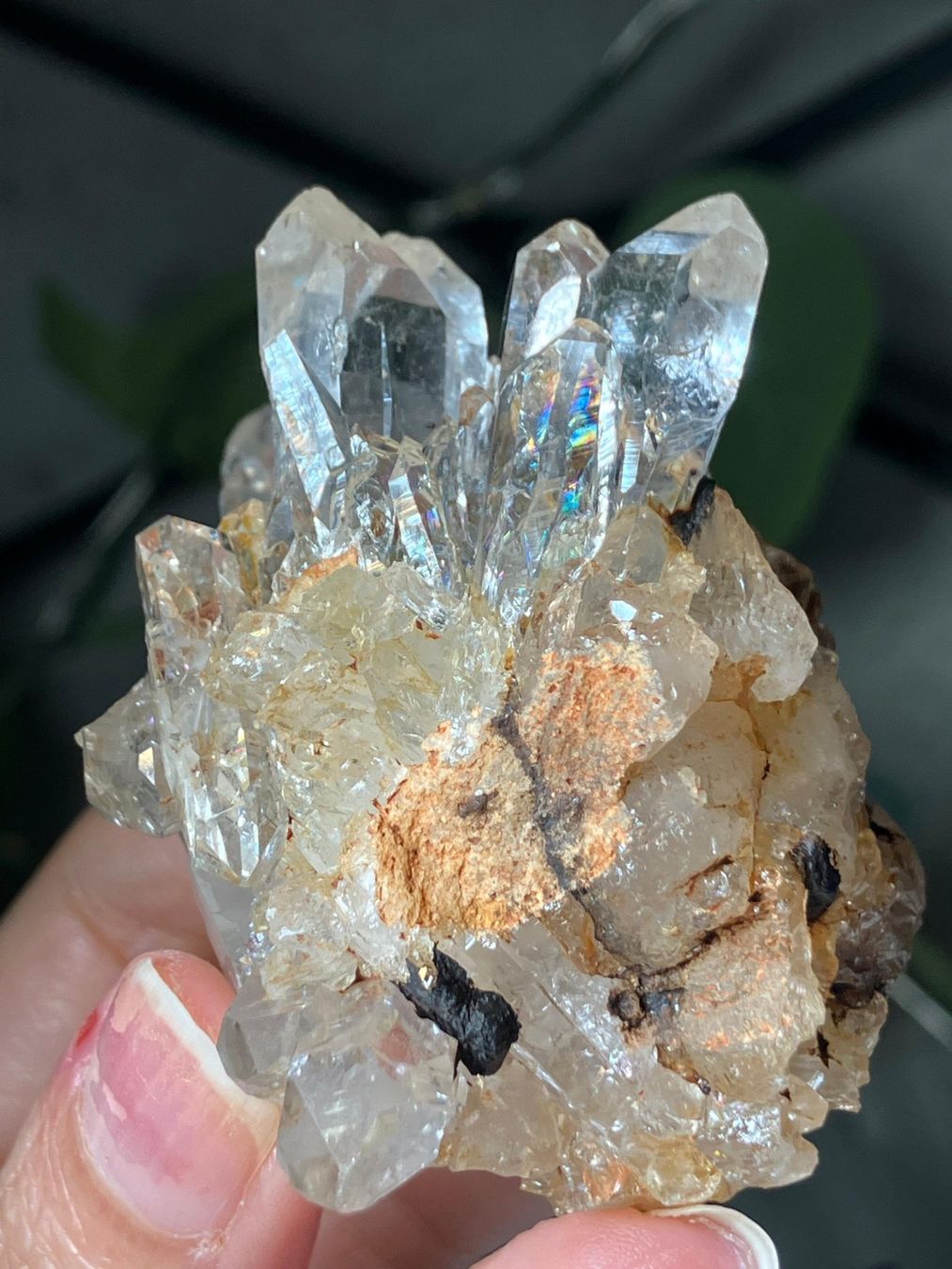 Minerali & Pietre curative: Klarer Quarz Cluster – Nuovo (secondo la descrizione) da Neuheim venduto da m.hald 3