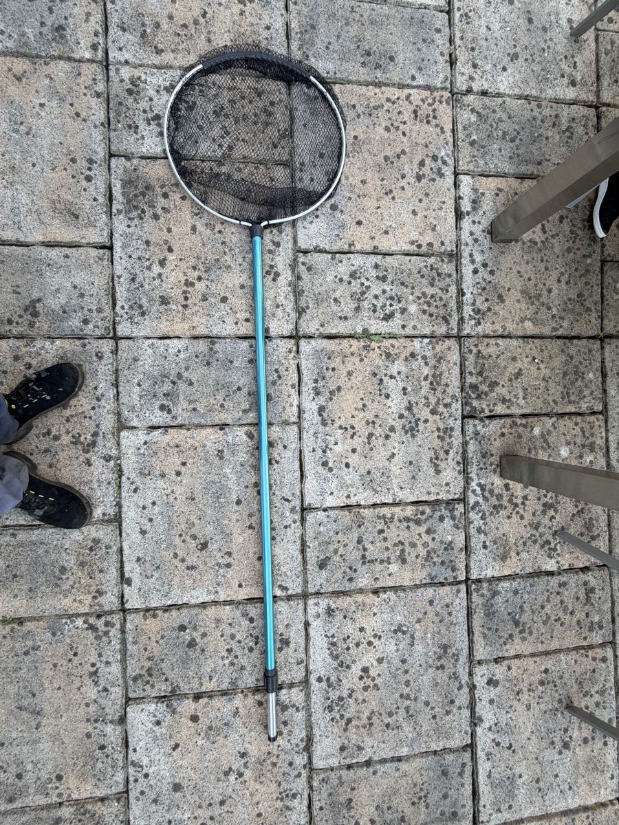 Supporti a parete: Teich Teleskop-Kescher 60cm – Usato da Altstätten SG venduto da Rschneider7