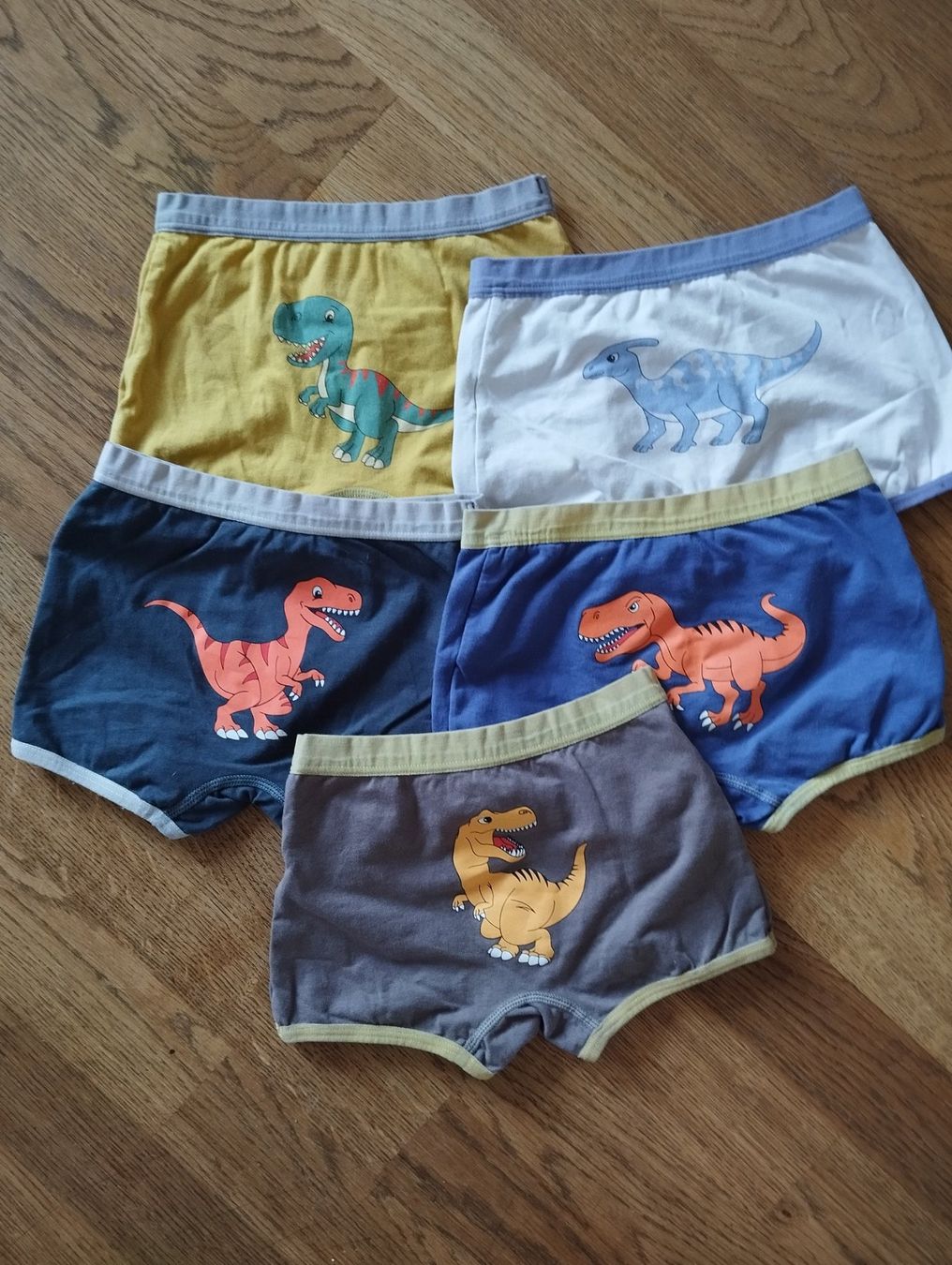 Biancheria intima: Unterhosen 5x Gr. 98... – Usato da Uetendorf venduto da Koh0 1