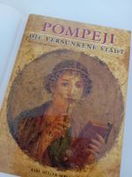 Pompeji Die versunkene Stadt Buch Karl Müller Verlag