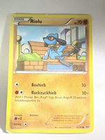 Riolu Pokémon 