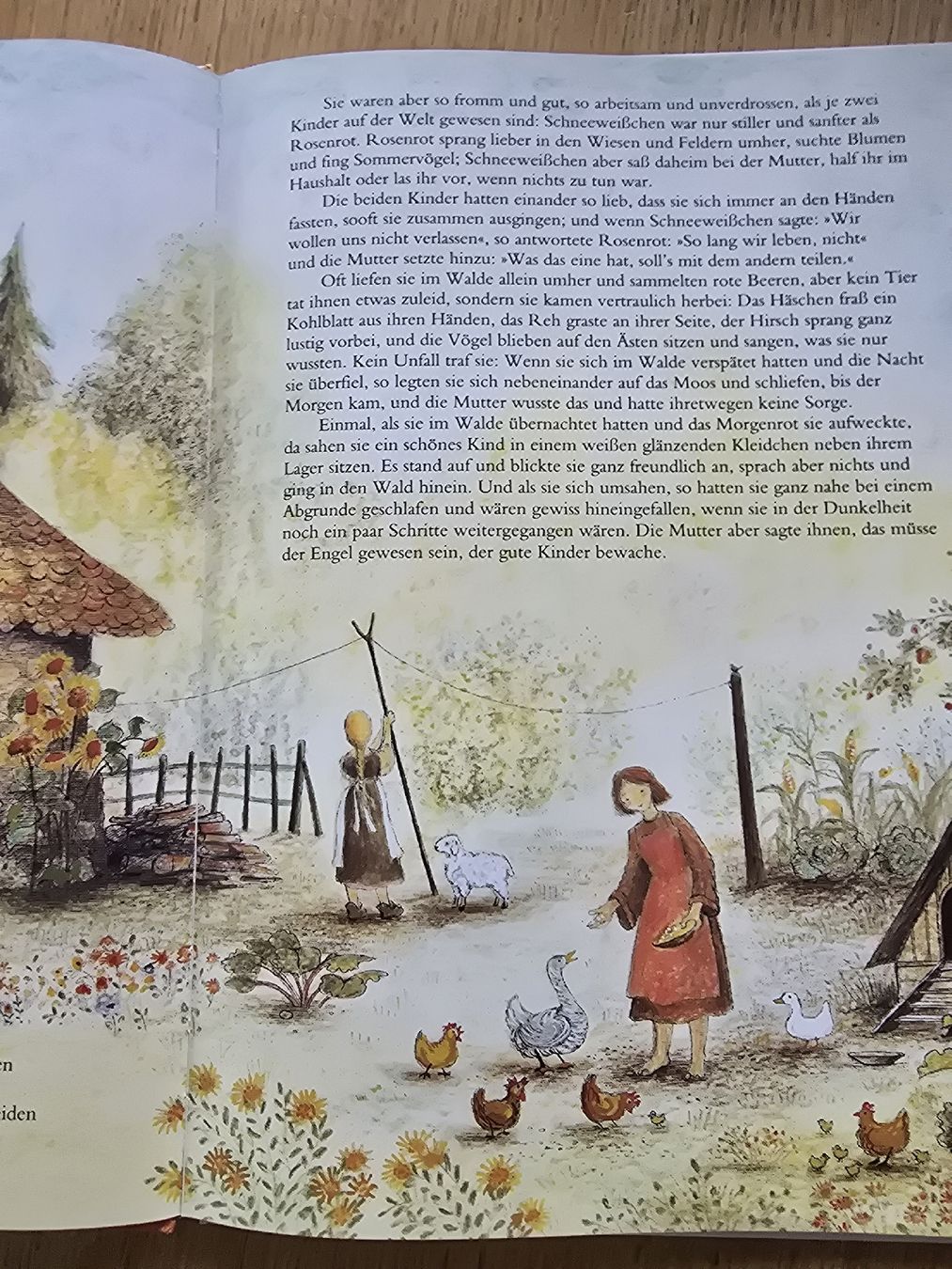 Libri: Bernadette Schneeweißchen und Rosenrot – Usato da Hedingen venduto da mickway 2