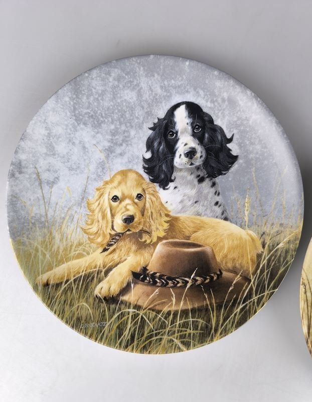 Piatti: 3er Set Sammelteller Hunde – Usato da Rüti ZH venduto da Restwert_Rueti_ZH 7