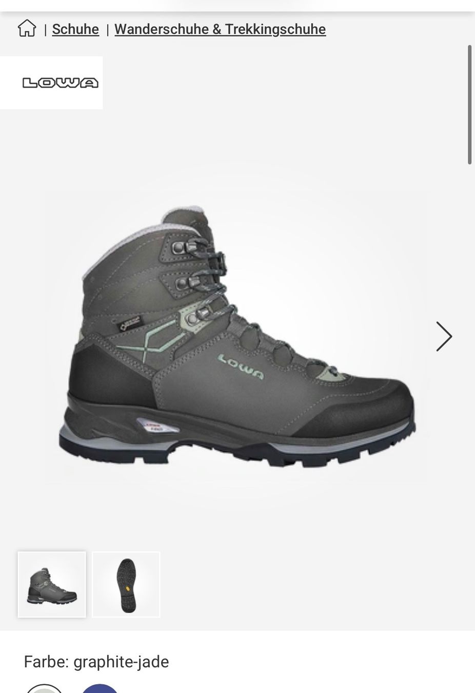Lowa Damenschuhe: Lowa Damen Light GTX Wanderschuhe Gr. 40 – Gebraucht aus Zürich von islabelllaleh