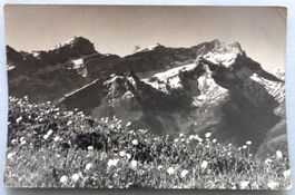 Villars-Chesières, les Dts. de Morcles