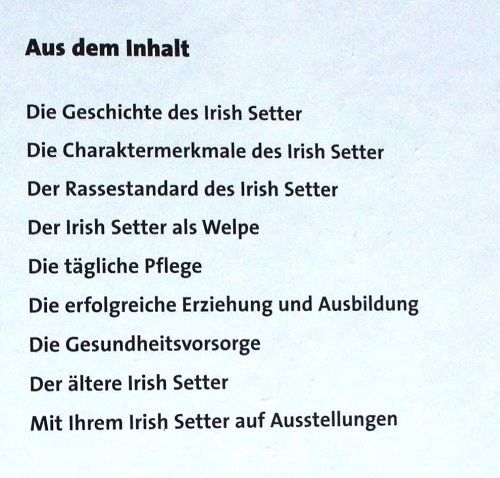 Libri: Irish Setter – Usato da Schlatt TG venduto da annesbuecher 1