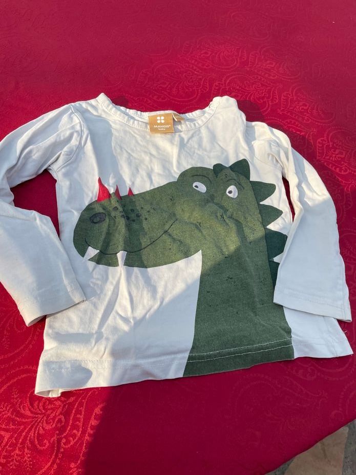 Manor Maglioni & Felpe: Kinder Dino Sweatshirt Manor 86 – Usato da Bergdietikon venduto da antovale