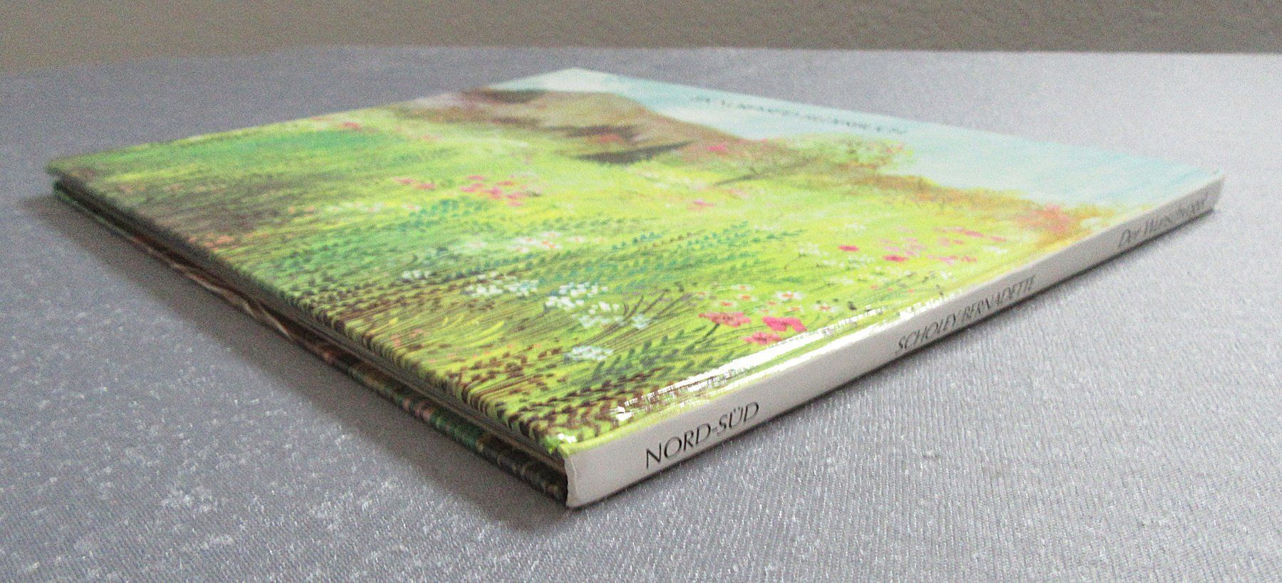 Libri: Der Wunschvogel - mit Bildern von Bernadette – Usato da Auenstein venduto da Padabimbim 8