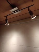 Deckenspot 2er, Edelstahl Lampe