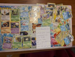 Pokemon Karten BULK 2007-2010 in sleeves siehe bilder