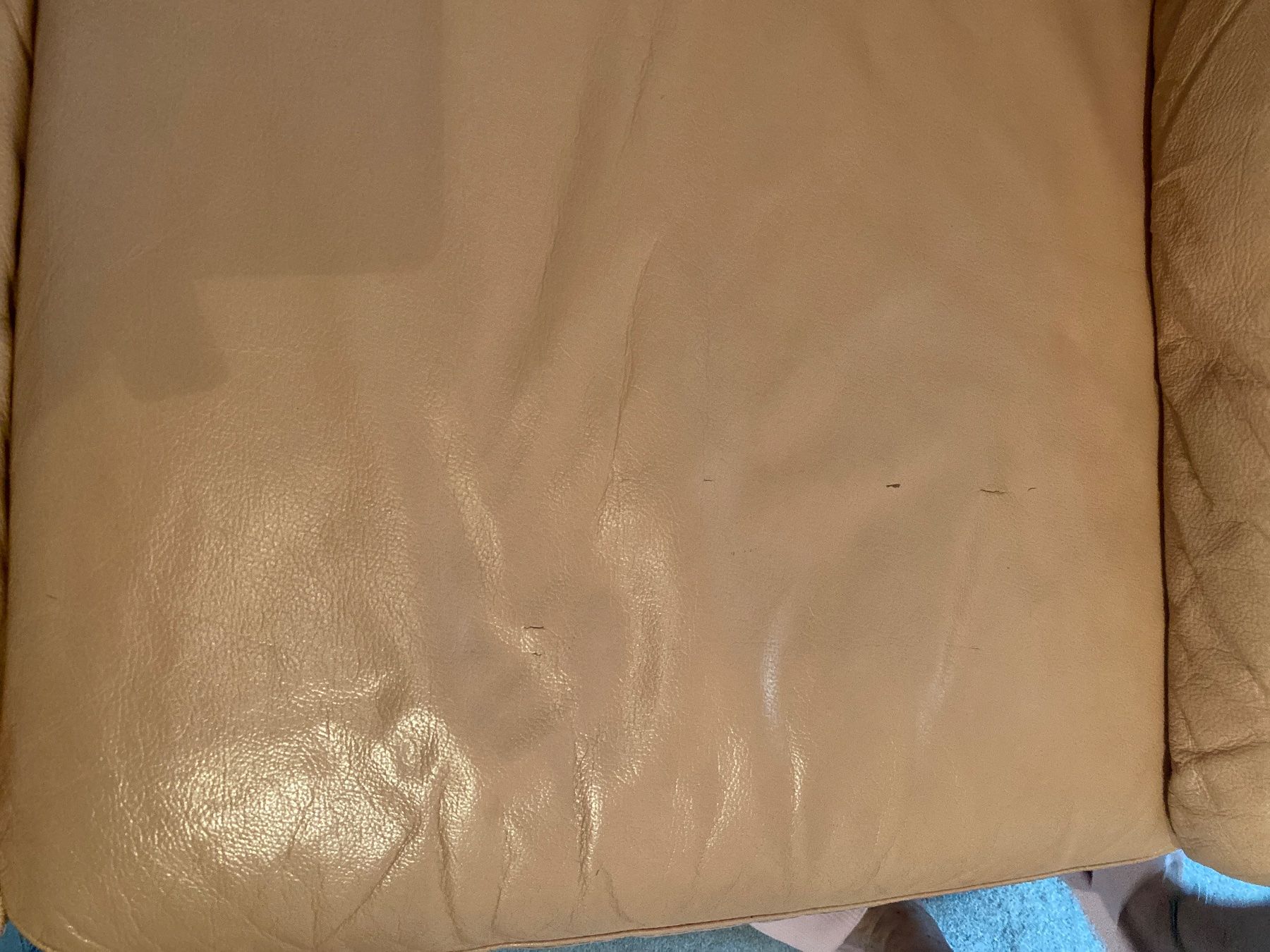 Sofas: Ledersofa – Gebraucht aus Ebikon von M5P5G50 1