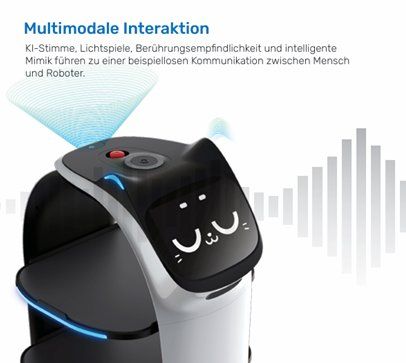Giocattoli: Innovativer Servierroboter – Usato da Algetshausen venduto da Green.61 3