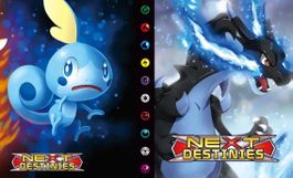 Pokemon Kartenalbum (240 Karten)