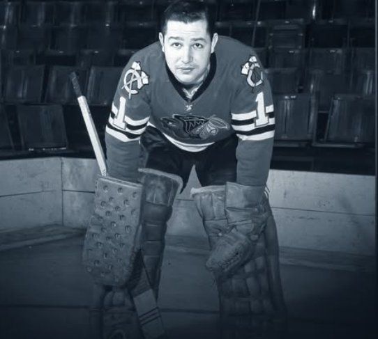 NHL Canottiere & Pantaloni: Chicago Blackhawks Goalie Jersey – Nuovo (secondo la descrizione) da binningen venduto da adgo22 5