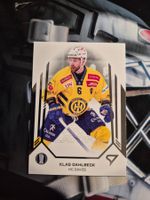 Klas Dahlbeck HC Davos Playoffs 2024/25 Sportzoo